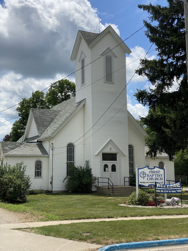 Elsie - July 12 2020 (newer photo)